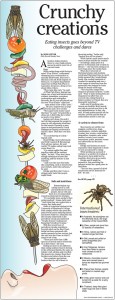 Bugs 11x17