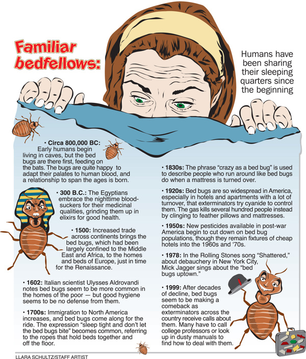 BEDBUGS